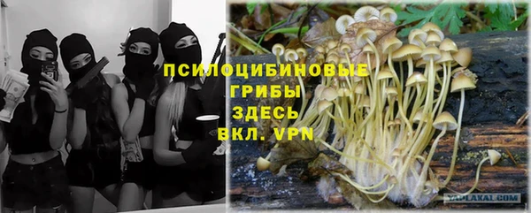 прущий лед Аркадак