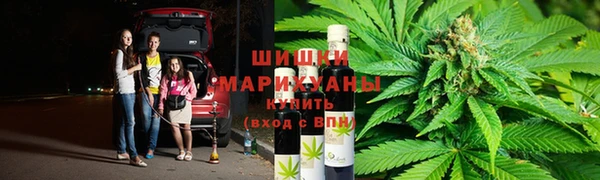 прущая мука Арсеньев